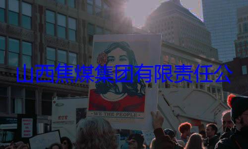 查公司原副总团有限责任山西焦煤集经理杨新华接受审查调